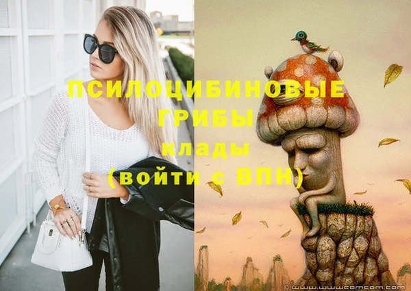 скорость Абаза