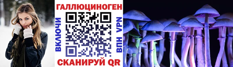 Псилоцибиновые грибы мицелий  Красный Сулин 