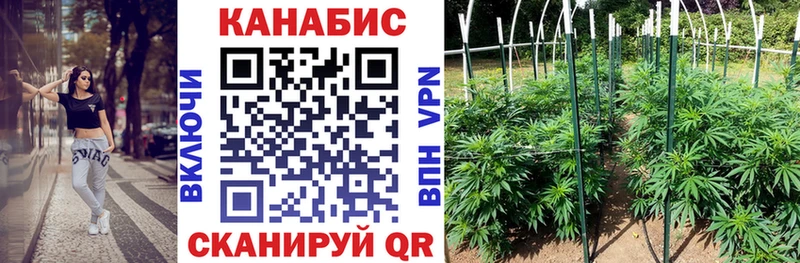 дарнет шоп  Красный Сулин  кракен как зайти  Шишки марихуана индика 
